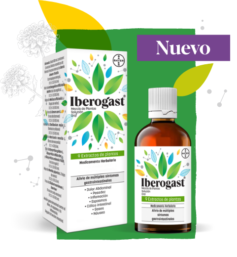 Iberogast | Bayer de México 